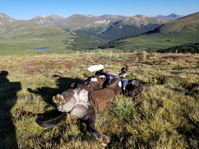 Mount Bierstadt (15).jpg